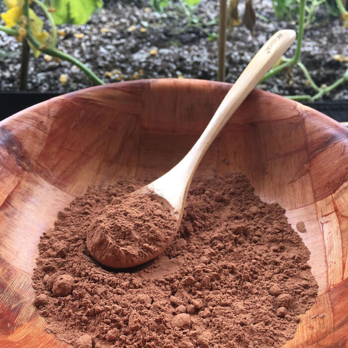 Cacao Criolo BIO